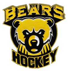 SunnySeasonPatches Custom Embroidered Hockey Patches - Dynamic Team Spirit