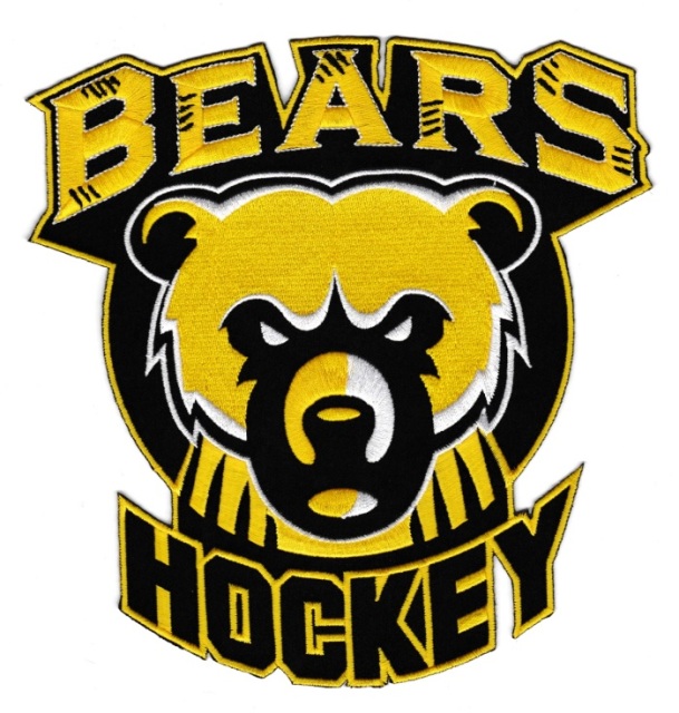 SunnySeasonPatches Custom Embroidered Hockey Patches - Dynamic Team Spirit