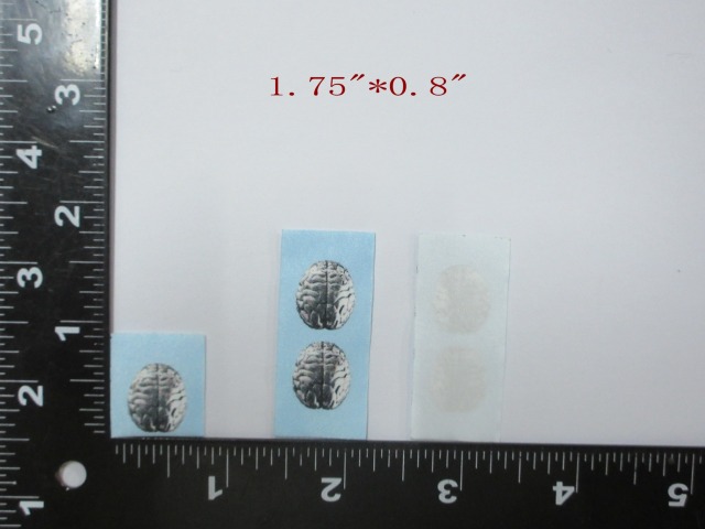 Custom Printed Care & Size Labels