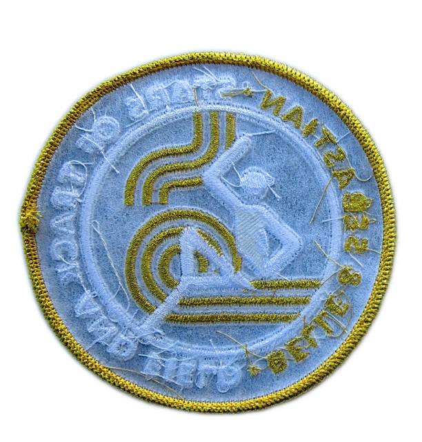 Official Belle and Sebastian "Stars of Track and Field" Patch 3.3" | Gold Metallic Thread-Back Side