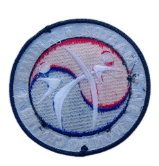 Master H C Kim's Taekwondo Center Embroidered Patch-Back Side