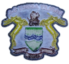 Embroidered Patch for Darley Abbey C.C. (3.1"W × 2.65"H)-Back Side