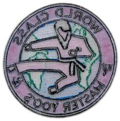 Custom Embroidered Martial Arts School Logo Patch: Master Yoo's World Class Taekwondo Display Sample-Back Side