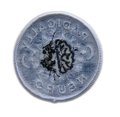 "Radically Neuro" Neurodiversity Affirmation Patch-Back Side