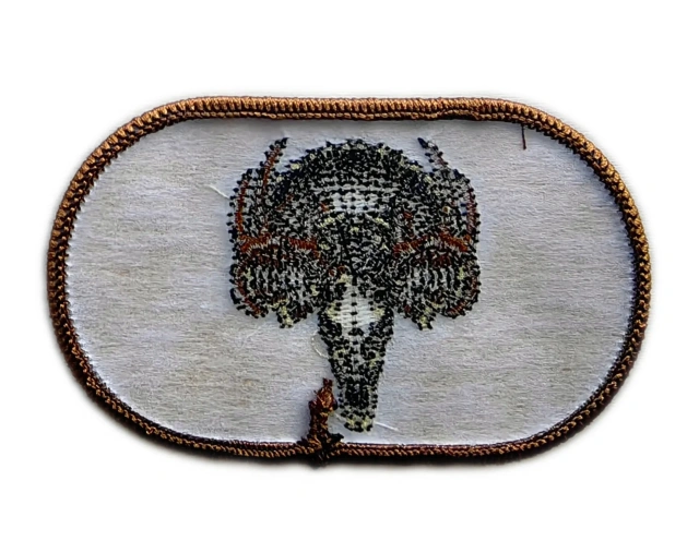 Wild Turkey Skull & Fan Hunting Embroidery Patch-Back Side