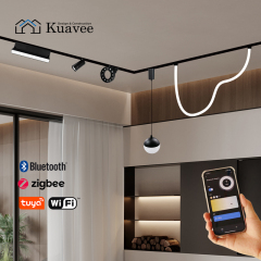 Embedded Install 48V Tuya Smart Control Magnetic Track Light