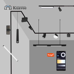 Surface Mount 48V Ultra Thin Adjustable Magnetic Track Light