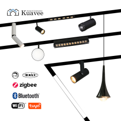 Commercial Easy Setup Tuya APP Control Magnetic SpotLight