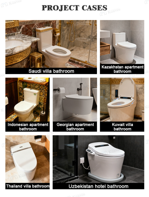Luxury Back To Wall  Two-piece Water Closet Toilet