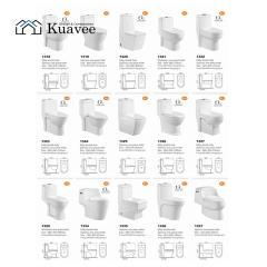 Small Size Western Wall-mounted Compost Corner Toilet
