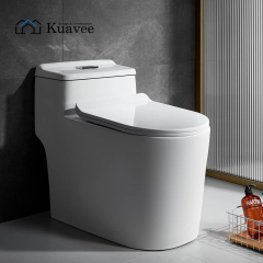 S-type Steam Trap Single Piece Dual Flush Commode Toilet