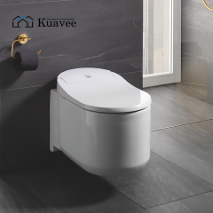 Small Size Western Wall-mounted Compost Corner Toilet