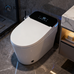 Durable Washroom Back To Wall Water Closet  Toilet
