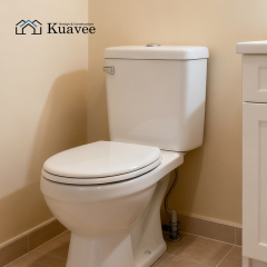 Durable Washroom Back To Wall Water Closet  Toilet