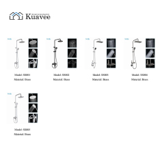 Black High End Showers With High Flow Shower Head