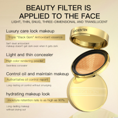Private Label Factory Price Long-Lasting Full Coverage Oil Control Matte Makeup Cosmetics Cushion Foundation for Women