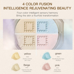 Wholesale Low Moq Mixed Color Loose Powder Absorbing Oil Setting Makeup Wearing Long Time Makeup for a Blurred Matte Finish