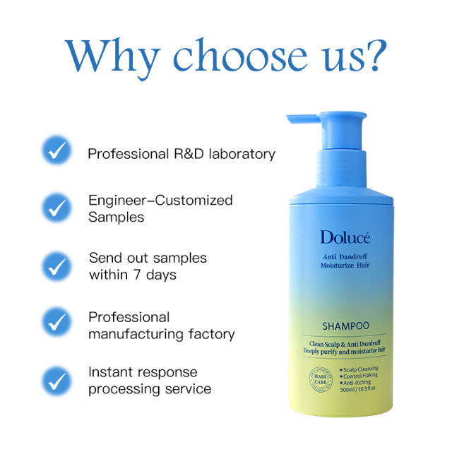 Private Label Custom Brand Cleaning Scalp Moisturizing Hair Anti Dandruff Shampoo Manufacturer in Guangzhou