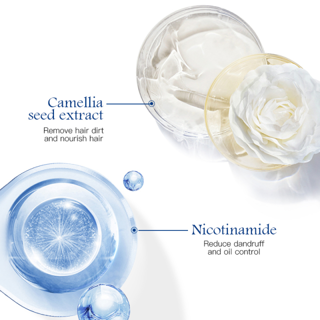 Private Label Custom Brand Cleaning Scalp Moisturizing Hair Anti Dandruff Shampoo Manufacturer in Guangzhou