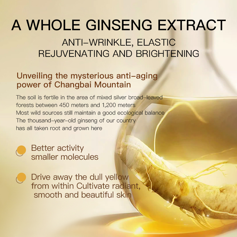 Private Label Nourish Skin Reduce Wrinkles Lighten Dark Circles Under Eyes  Ginseng and Cordyceps Extract Essence Serum Oil