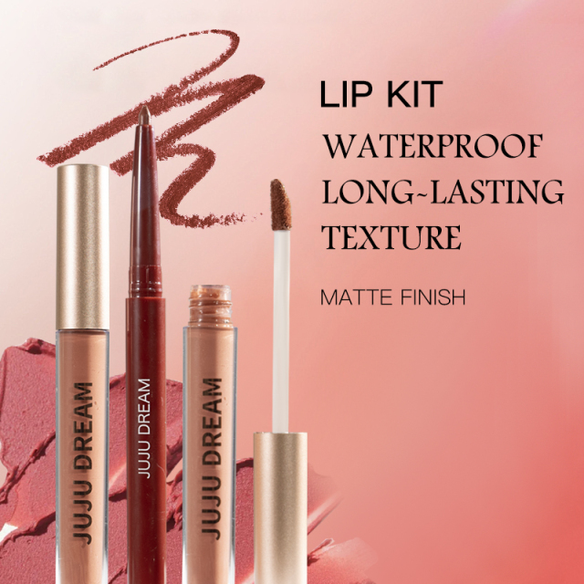Private Label High Pigment Lightweight Trendy Matte Long-Lasting Matte Finish Lip Liner and Lip Gloss Set