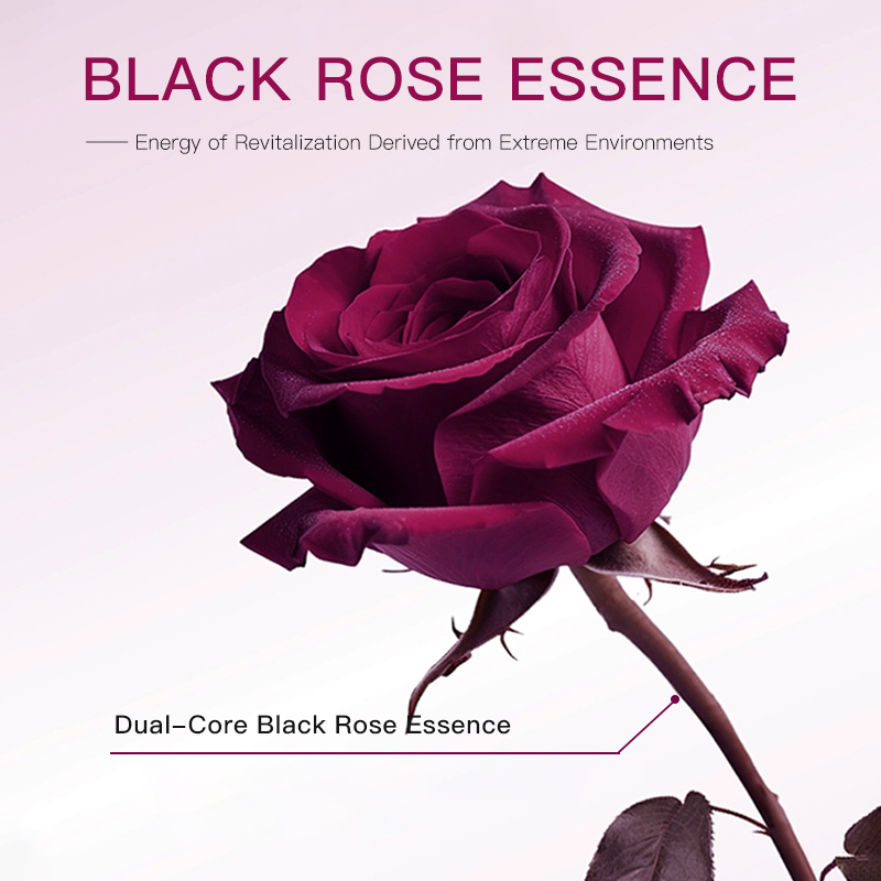 OEM ODM Black Rose Anti Oxidant Light Line Firming Soothing Moisturizing Skin Care Facial Mask