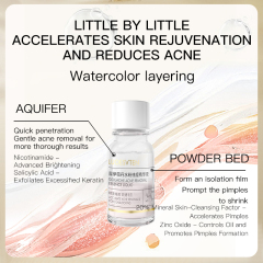 Niacinamide Salicylic Acid Soothing Skin Controlling Oil Removing Acne Moisturizing and Moisturizing Skin 10ml Powder Essence
