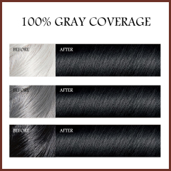 OEM Custom Plant Herbal Black Hair Dye Cream Gentle Scalp Care Cover Gray Hair Long Lasting Hair Color Cream