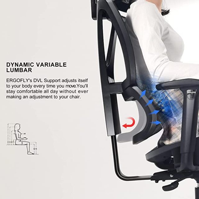 DIPPER 人体工学办公椅 - 带可调节扶手的滚动电脑椅，腰部支撑网布办公椅，家用摇椅式行政旋转椅