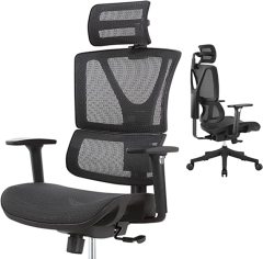 DIPPER 人体工学办公椅 - 带可调节扶手的滚动电脑椅，腰部支撑网布办公椅，家用摇椅式行政旋转椅