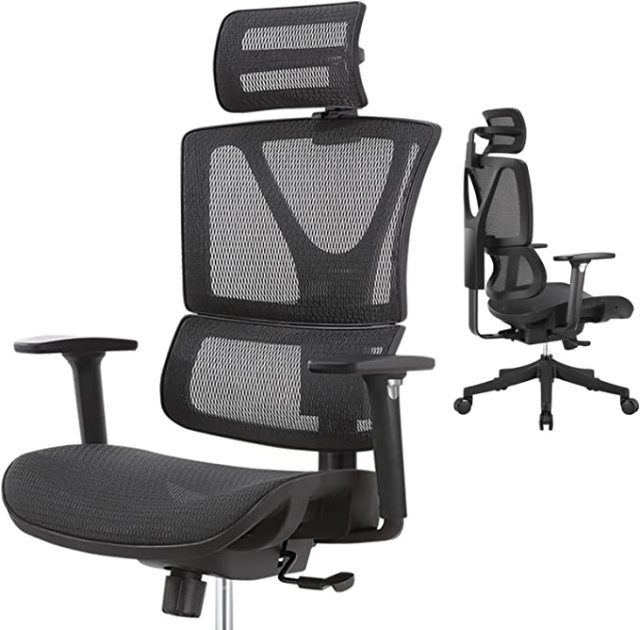 DIPPER 人体工学办公椅 - 带可调节扶手的滚动电脑椅，腰部支撑网布办公椅，家用摇椅式行政旋转椅