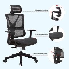 DIPPER 人体工学办公椅 - 带可调节扶手的滚动电脑椅，腰部支撑网布办公椅，家用摇椅式行政旋转椅