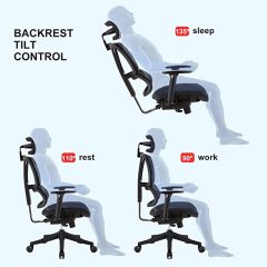 DIPPER 人体工学办公椅 - 带可调节扶手的滚动电脑椅，腰部支撑网布办公椅，家用摇椅式行政旋转椅