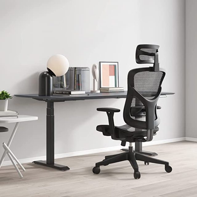 Dippers Computer DIPPER Ergonomic Mesh Office Chair, Computer Desk Chair with 3-Way ...