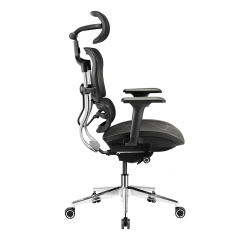 B30X Ergonomic Gaming Chair with 6D Armrest and Dragon Mesh Warranty 5 Years