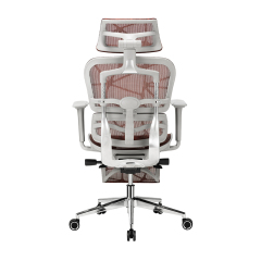 B30X Ergonomic Gaming Chair with 6D Armrest and Dragon Mesh Warranty 5 Years