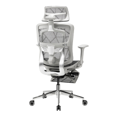 B31 Ergonomic mesh chair with Footrest and Dragon Mesh Warranty 5 years
