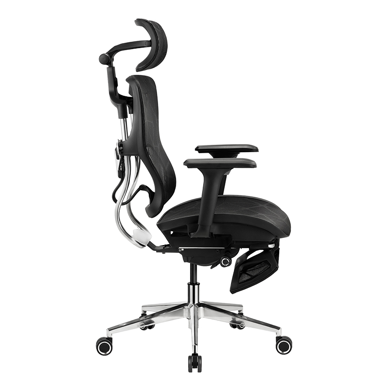 B31 Ergonomic mesh chair with Footrest and Dragon Mesh Warranty 5 years