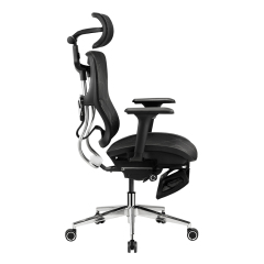 B31 Ergonomic mesh chair with Footrest and Dragon Mesh Warranty 5 years