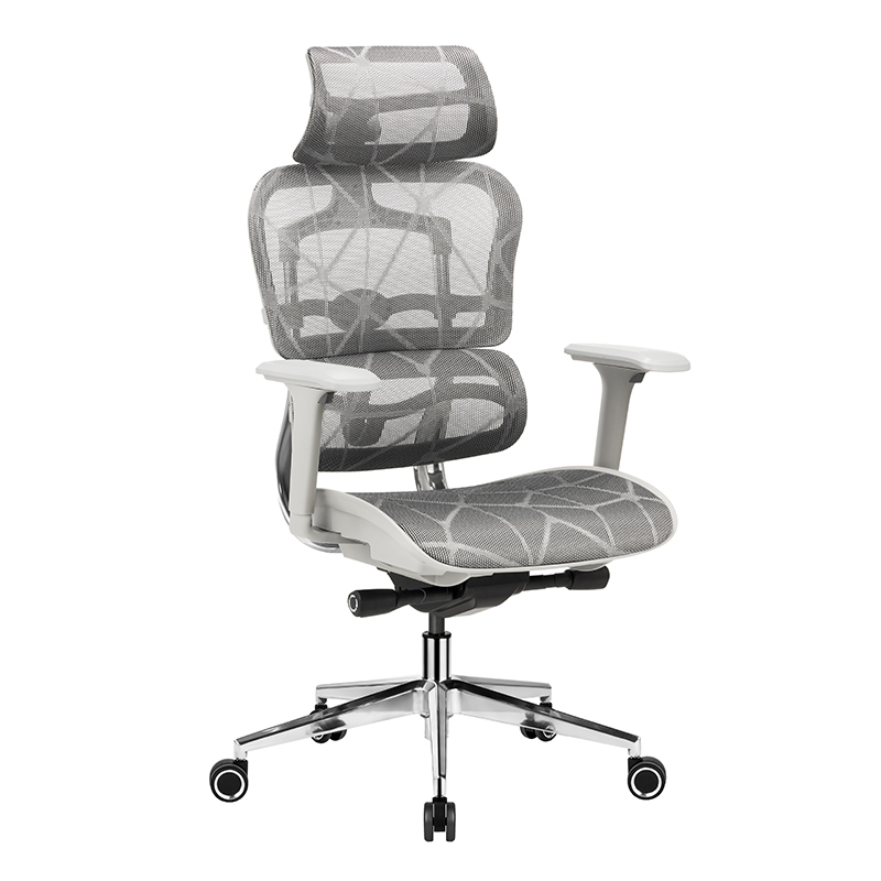 B30X Ergonomic Gaming Chair with 6D Armrest and Dragon Mesh Warranty 5 Years