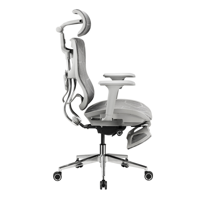 B31 Ergonomic mesh chair with Footrest and Dragon Mesh Warranty 5 years