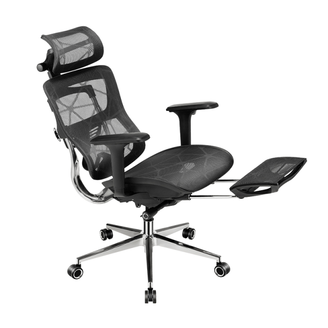 B31 Ergonomic mesh chair with Footrest and Dragon Mesh Warranty 5 years