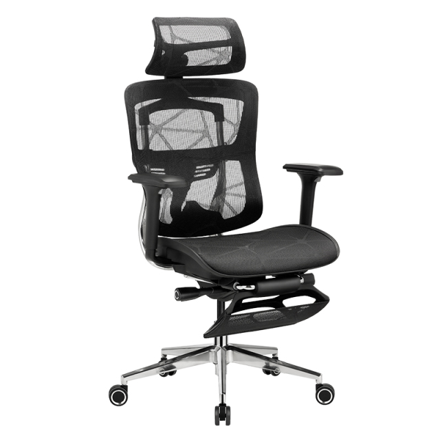 B31 Ergonomic mesh chair with Footrest and Dragon Mesh Warranty 5 years