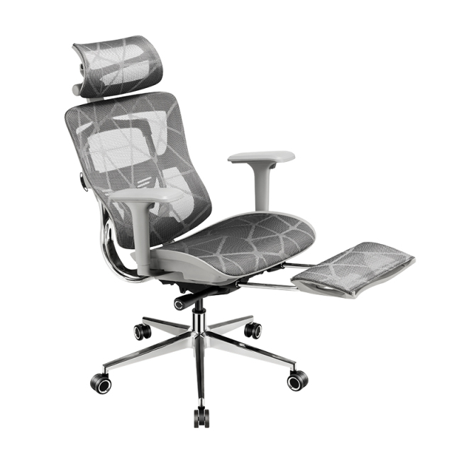 B31 Ergonomic mesh chair with Footrest and Dragon Mesh Warranty 5 years