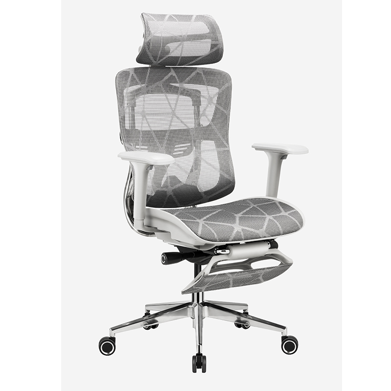 B31 Ergonomic mesh chair with Footrest and Dragon Mesh Warranty 5 years