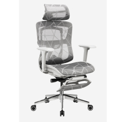 B31 Ergonomic mesh chair with Footrest and Dragon Mesh Warranty 5 years
