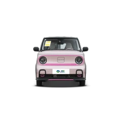 Geely Panda Knight,YDchinauto