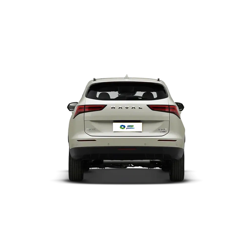 Haval H6,YDchinauto