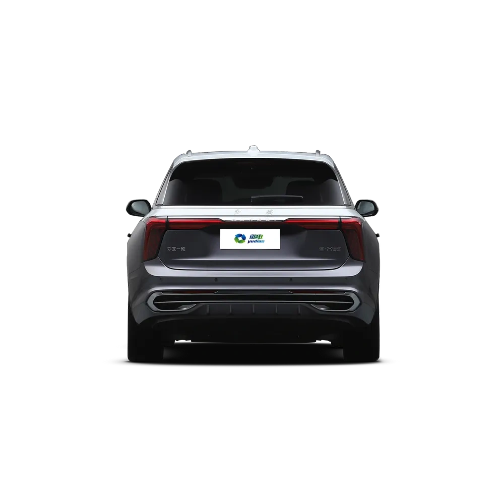 HONGQI E-HS9,YDchinauto
