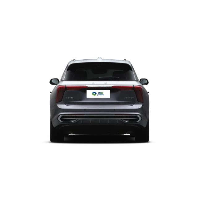 HONGQI E-HS9,YDchinauto